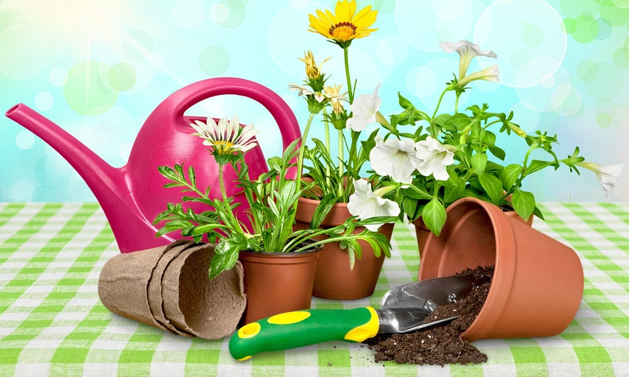 cropped-gardening_equipment_9001.jpg