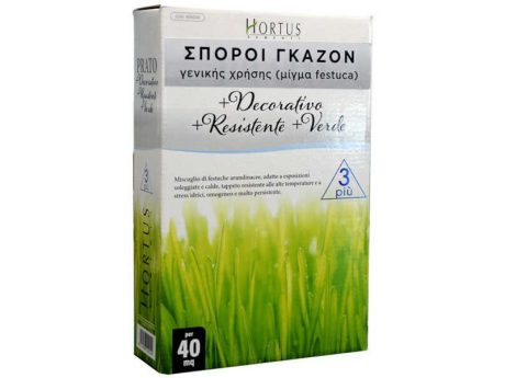 Classic Lawn Grass – Festuca arundinacea