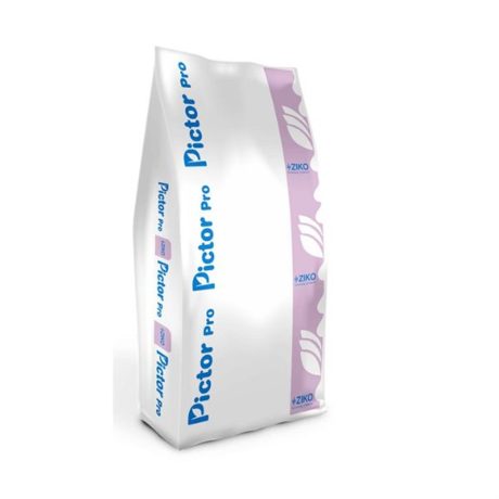 PICTOR PRΟ