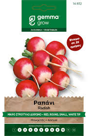 Small Round Bicolor Radish Seed Packet