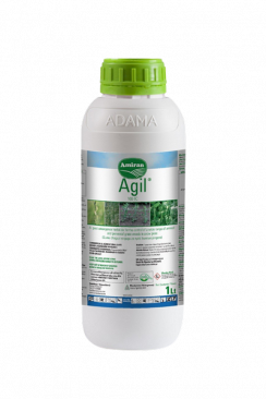 Agil 10EC