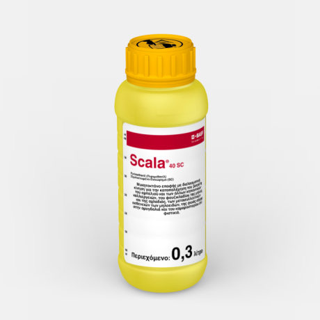 Scala 40 SC