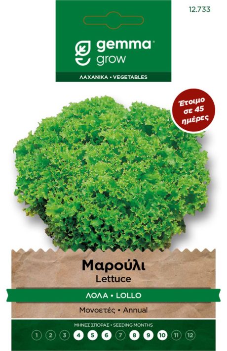 Lola Lettuce – Seed Packet