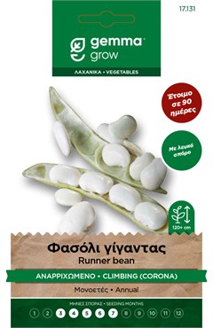 Climbing Giant Bean 904 – Seed Packet