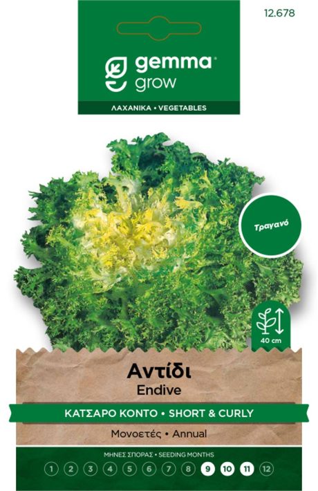 Curly Endive Short – Seed Packet