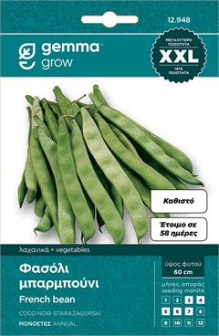 Bush Black Pod Bean Starazagorski 817 – XXL Seed Packet