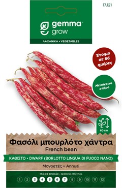 Bush Bean “Bourloto Hadra” 857 seed packet