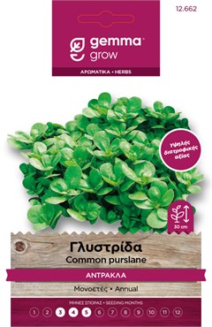 Purslane (Verdolaga) seed packet
