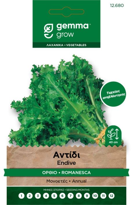 Upright Curly Endive – Seed Packet