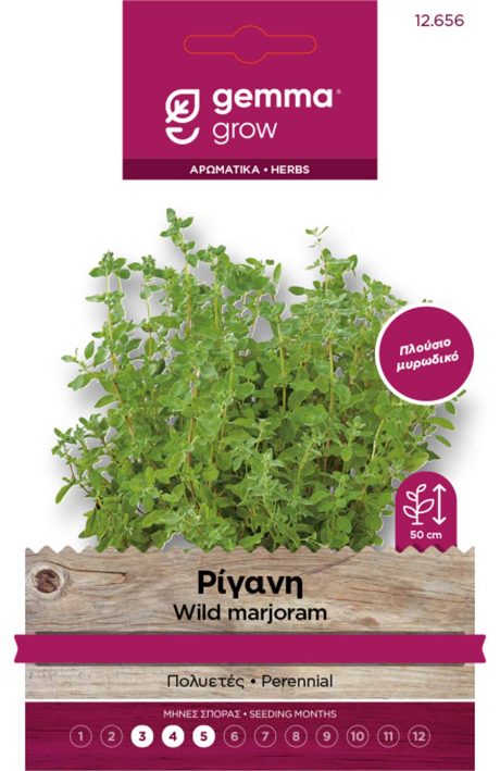 Oregano Seed Packet