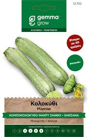 Long Light Green Zucchini (Kompokolokytho) – Seed Packet