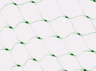 BIRD PROTECTION NET