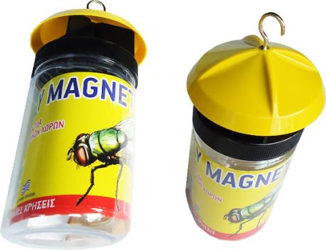 xlarge_20220315145044_b25fdeaa