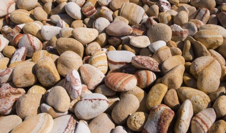 AKR_2555-MG-07-MG-03