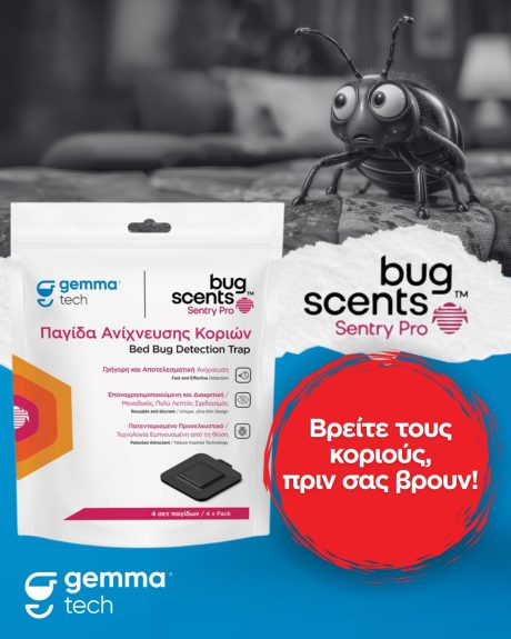 517554648_1163772029120252_530135752795588762_n