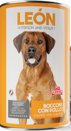 LEÓN DOG BOCCONI