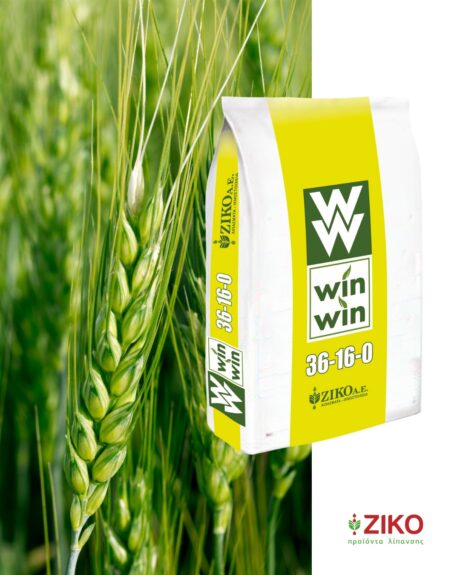 546553627_1375039431295237_7749277834237156041_n