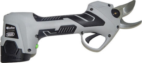 xlarge_20200130152931_volpi_kv_310