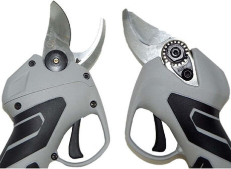 xlarge_20220104140846_60987863