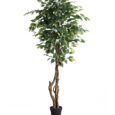 PLASTIC FICUS TREE-1,8 M