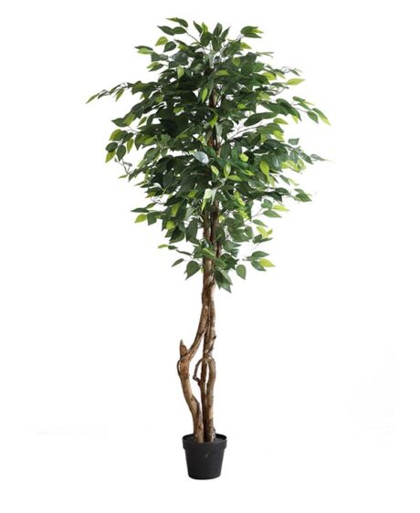 PLASTIC FICUS TREE-1,8 M