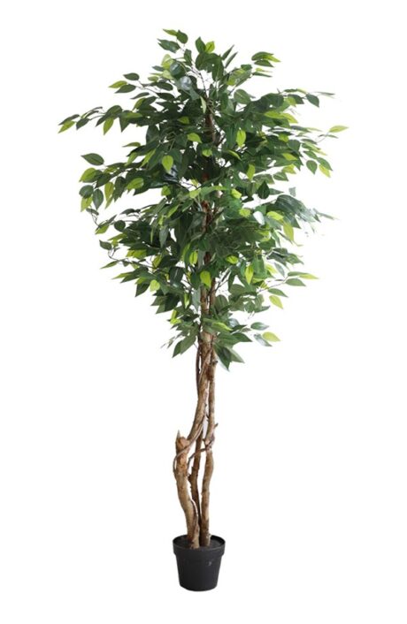PLASTIC FICUS TREE 1,5 M