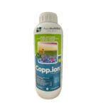 COPPION
